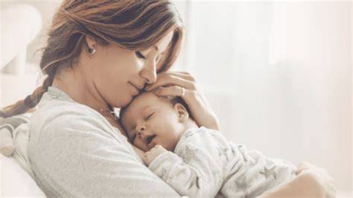 Mother's Warmth. Animation. Chapter 12 (4 min.) GA3D / NORDART