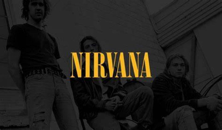 Nirvana's Krist Novoselic's Net Worth In 2024: A Deep Dive
